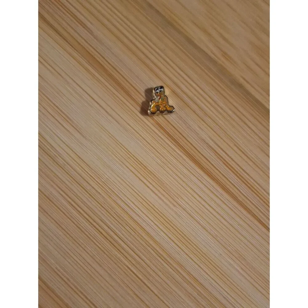 Pluto-style Floating Locket Charm